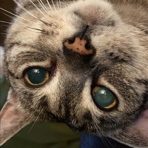 Meet your Posher, Marianne